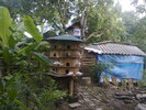 Hinh0501.jpg