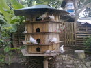 Hinh0506.jpg