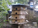 Hinh0507.jpg