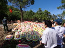 Tham_mo_Dai_Tuong_04.jpg