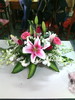 ContactPhotoIMG_20140323_143344.jpg