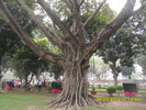 SAM_8580.jpg
