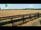 3NTVVTC16_Nen_nong_nghiep_chinh_xac_tai_My.flv