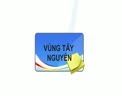 123.flv