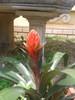 20150412_131222.jpg
