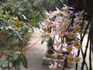 20150419_102013.jpg