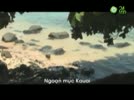 HA_OAI.flv