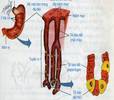 Picture33.jpg