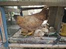 IMG20160120163311.jpg