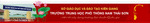 LOGO_MAU_NAM_THAI_SON_HEADER2_violet2.jpg