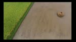 Bac_Son_Mua_Lua_Chin__Full_HD__Sony_FlyCam.flv