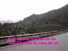 VUOT_DEO_HAI_VAN.flv