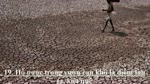 Nhung_diem_bao_truoc_ban_sap_gap_viec_du_hoac_rui_ro__diem_bao_2016.flv