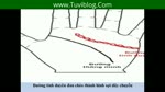 Nhung_Duong_Chi_Tay_Dac_Biet_Va_Van_Menh_Cua_Nguoi_Nam_Giu.flv