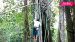 San_Mat_Ong_Rung__Nghe_nguy_hiem_Wild_Honey_Hunters.flv