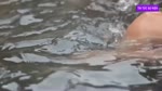 Can_canh_thieu_nu_tay_bac_tam_tien_o_suoi_khong_xem_khong_phai_la_dan_ong.flv