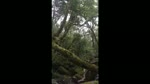 Chinh_phuc_dinh_nui_Pu_Ta_Leng.flv