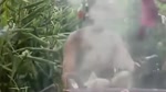 Cuoc_song_khoa_than_cua_tho_dan_Indonesia.flv