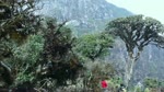 Trekking_Bach_Moc_Luong_Tu.flv