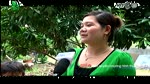 Ngac_nhien_be_3_tuoi_boi_40m__VTC.flv
