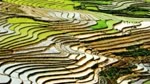 Phong_canh_Ha_Giang.flv