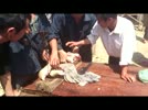 Thi_chat_thit_Cho_BacHa.flv