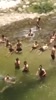 Tam_Tien_tren_suoi.flv