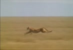 Sanmoi_mpg.flv