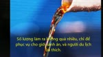 Doi_dieu_ve_nuoc_mam_chat_Cat_Hai.flv
