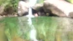 Boi_tai_thac_o_nui_Putaleng_Lai_Chau_3042013.flv