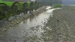 Guong_nuoc_Tam_DuongLai_Chau.flv