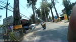 Hang_cay_siu_to.flv