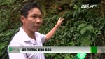 Bi_an_ham_vang_o_Ha_Nam__VTC.flv