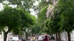 Pho_Hoa_Bang_lang_pho_Tho_Nhuom_Ha_noi_19052016.flv