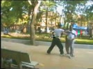 Vuon_Hoa_Hang_Dau_Phuong_Quan_Thanh.flv