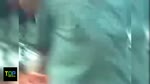 Can_Canh_Cat_Tiet_Ran_Ho_Mang_Chua_Khong_Lo_Nang_20Kg_Tai_Viet_Nam.flv