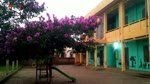 Dai_Lai__Gia_Binh__Bac_Ninh__Dai_Lai_Que_Toi__phan_2.flv