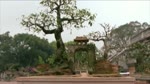 Thanh_Co_Son_Tay_xua_va_nay.flv
