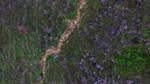 FLYCAM_FULL_HD__DONG_VAN_HA_GIANG__BY_THANG_SOI.flv
