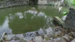 Gia_Lap_Gia_Vien__Ninh_Binh_2014.flv