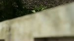 Tet_Nho_Quan__Ninh_Binh_2014.flv