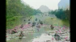 Ngam_suoi_Yen__chua_Huong_dau_mua_hoa_sung.flv