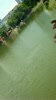Cau_ca_tai_Ho_Chua_Lang_trong_cuoc_thi_cau_danh_cham_Ngay_06052016_Can_thu_Hanh_Chao_xuat_hien.flv