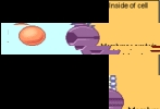 Diffuse.gif