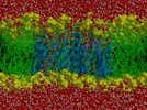 Aquaporin_2.flv