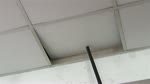 4_HD_ky_nang_thoat_nan_chay_nha_ong.flv
