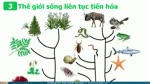 Bai_1__Cac_cap_to_chuc_cua_the_gioi_song_va_cac_gioi_sinh_vat.flv