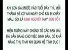 Kinhnguyetlagi.flv