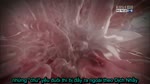 Quatrinhhinhthanhvaphattriencuathainhitutuan18.flv