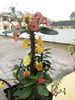 IMG20170320093307.jpg